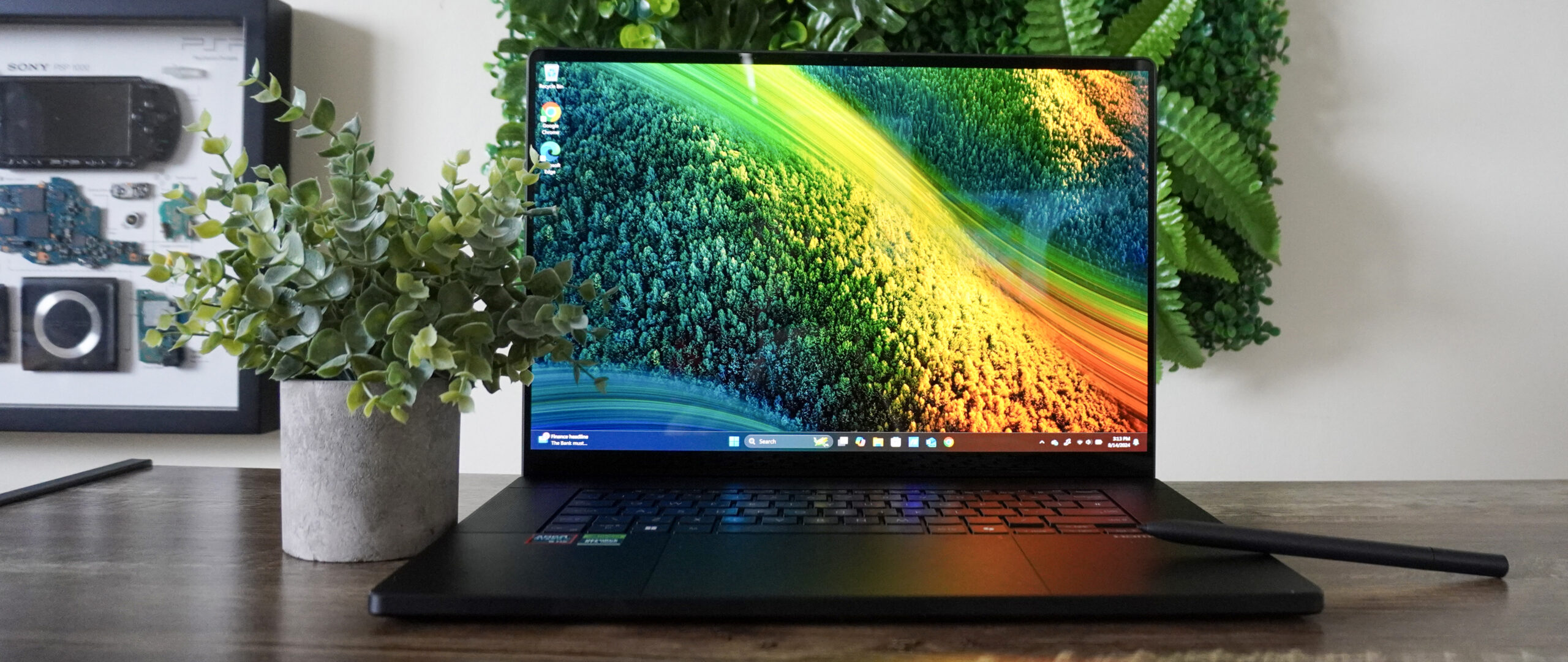 Asus ProArt P16 (2025) Display